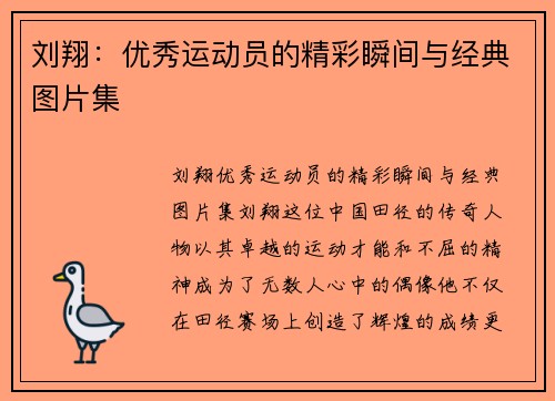刘翔：优秀运动员的精彩瞬间与经典图片集
